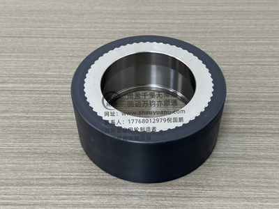 搬运器水平导轮 (4)